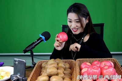 專業(yè)合作社引領(lǐng)，果農(nóng)增收致富路——扶風(fēng)獼猴桃實現(xiàn)全年供應(yīng)與銷售新突破