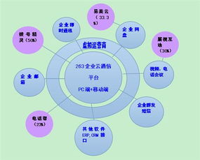 二六三 瞄準未來，鑄就企業互聯網通信與信息服務王牌